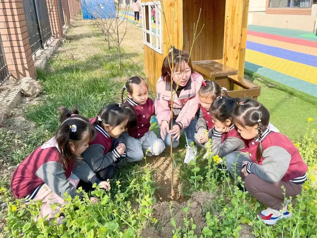 不負春光，“植”得期待|培文幼兒園植樹節活動